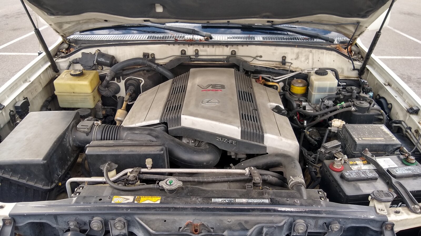 IMG_20200515_095925487_HDR-X5.jpg