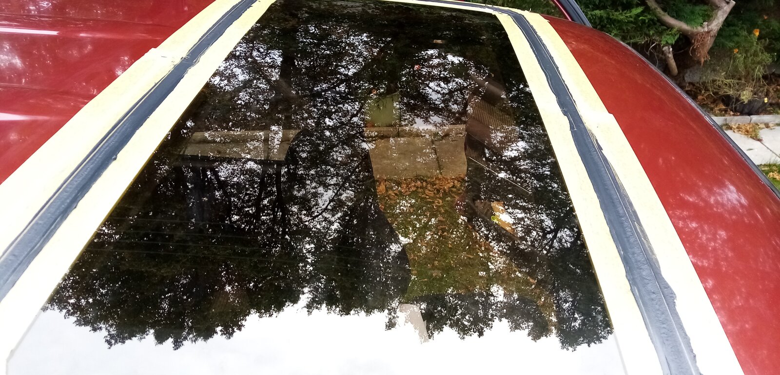 IMG_20200912_161119.jpg