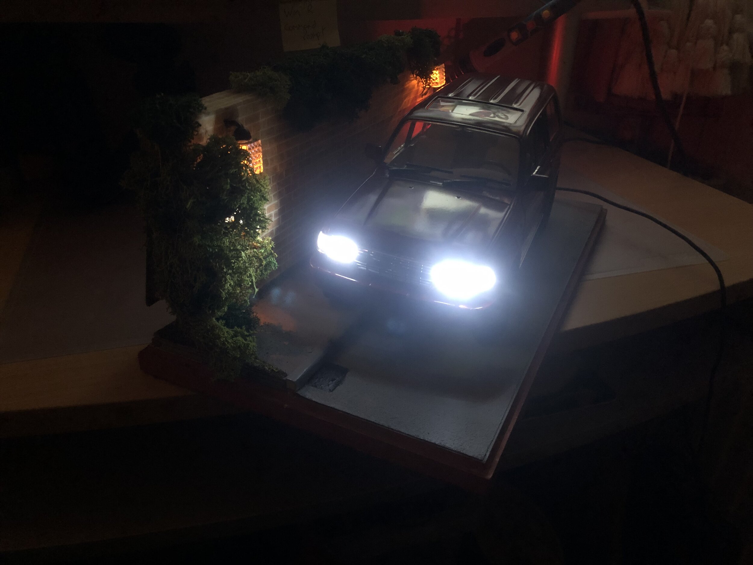 IMG_2818.jpeg