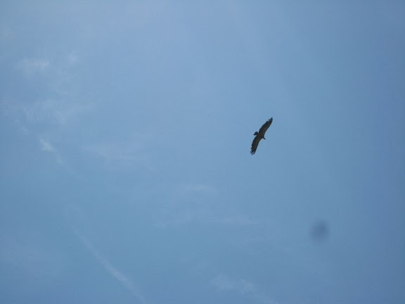 IMG_3353.JPG