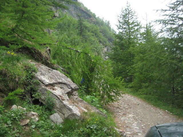 IMG_4180.JPG