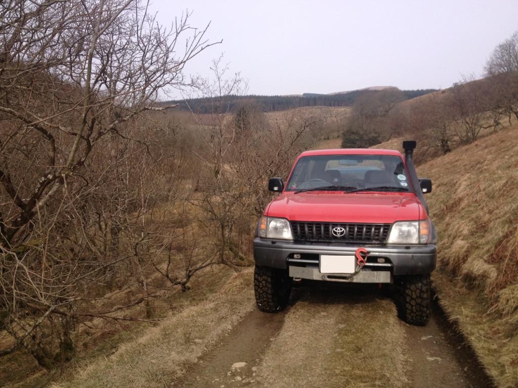 IMG_4476_zpsfc56066c.jpg