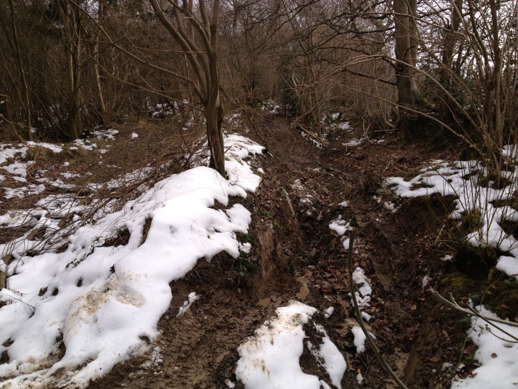 IMG_4574_zps533022b0.jpg