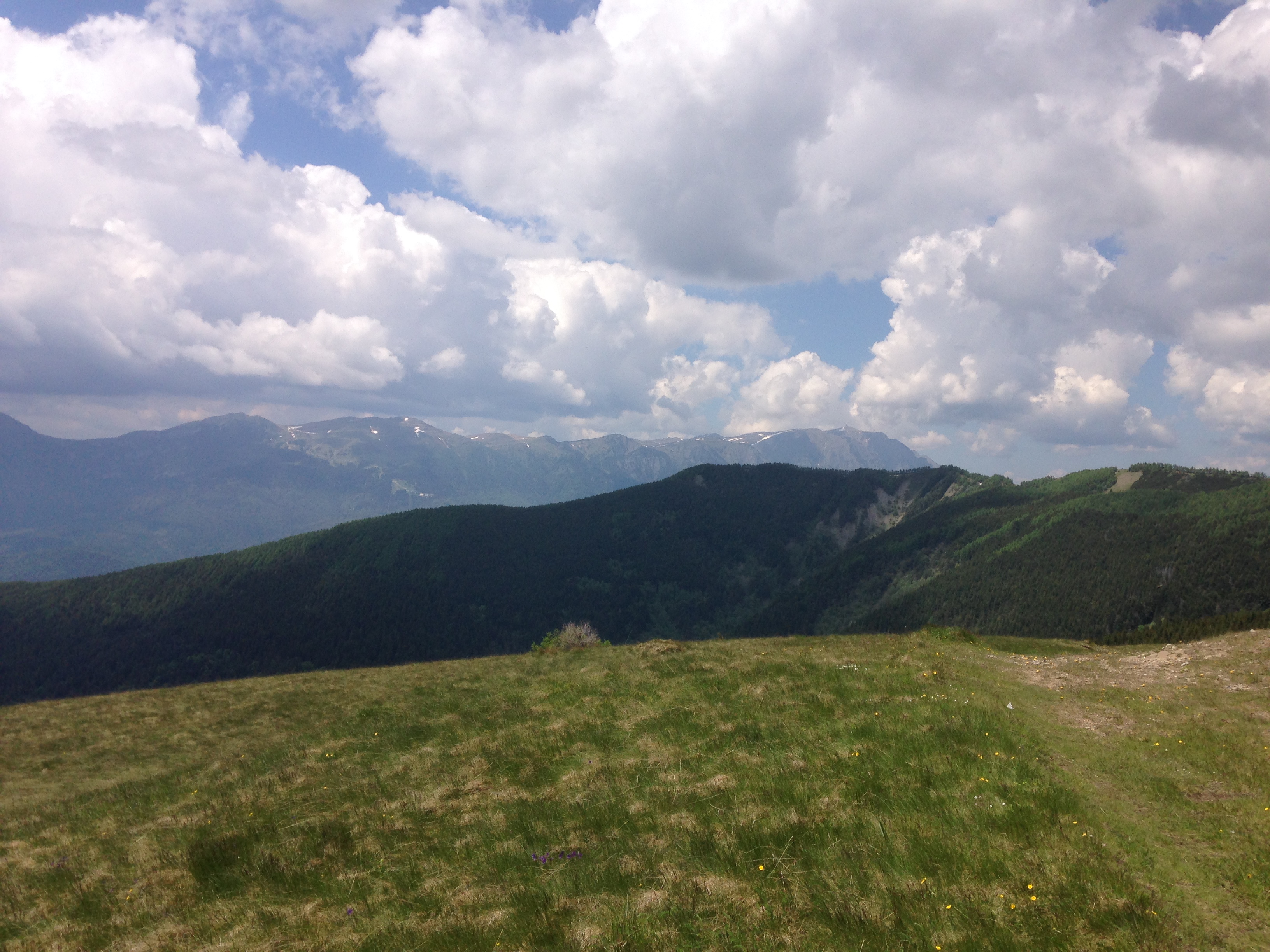 IMG_4622.JPG