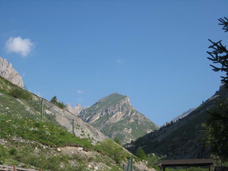 IMG_4937.jpg