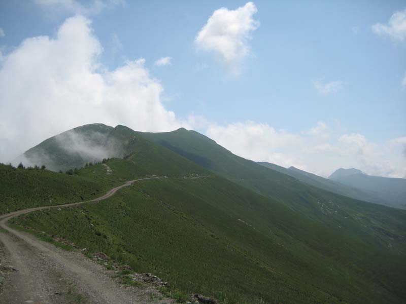 IMG_4944.jpg