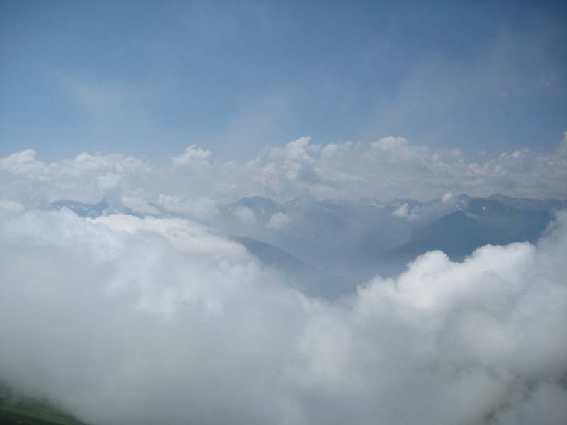 IMG_4955.jpg