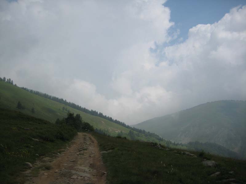 IMG_4971.jpg