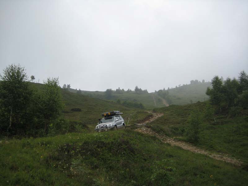 IMG_4975.jpg