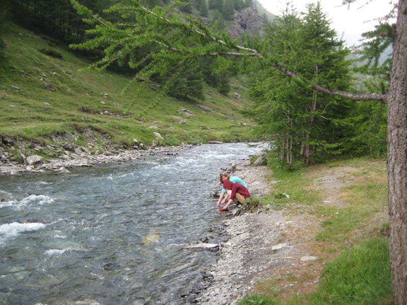 IMG_4988.jpg