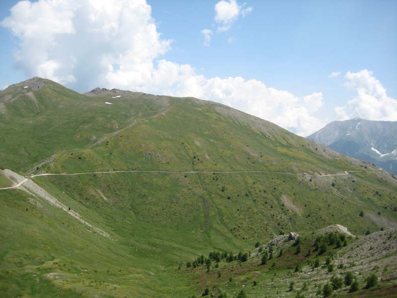 IMG_5055.jpg