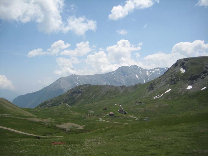 IMG_5061.jpg