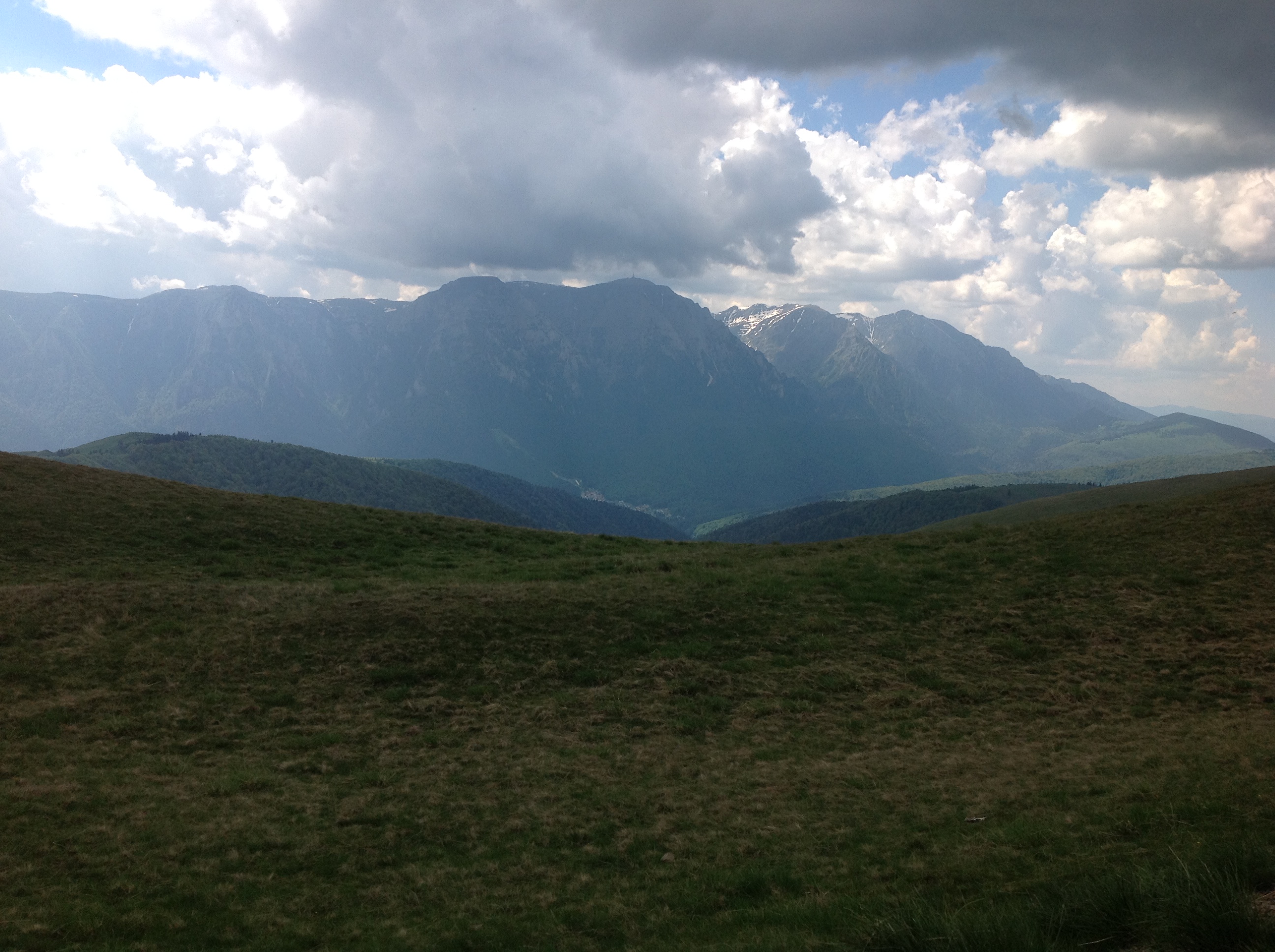 IMG_5073.JPG