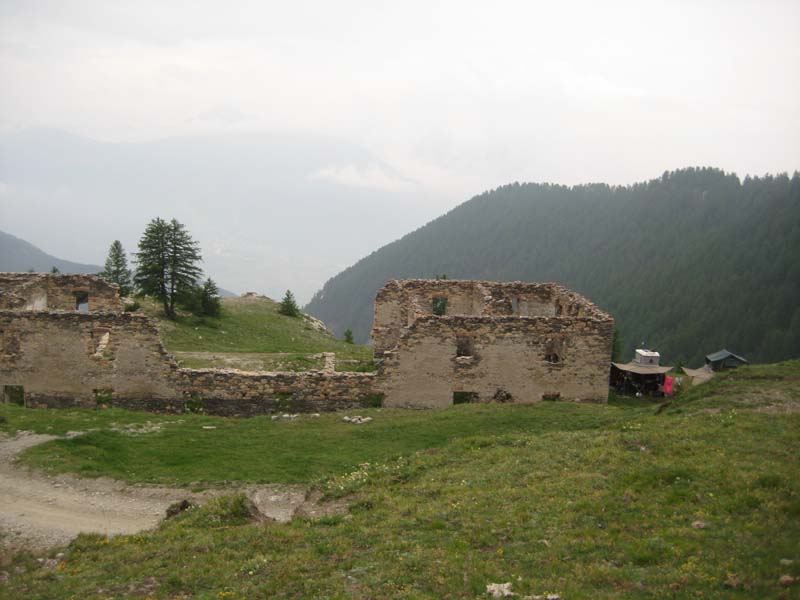 IMG_5137.jpg