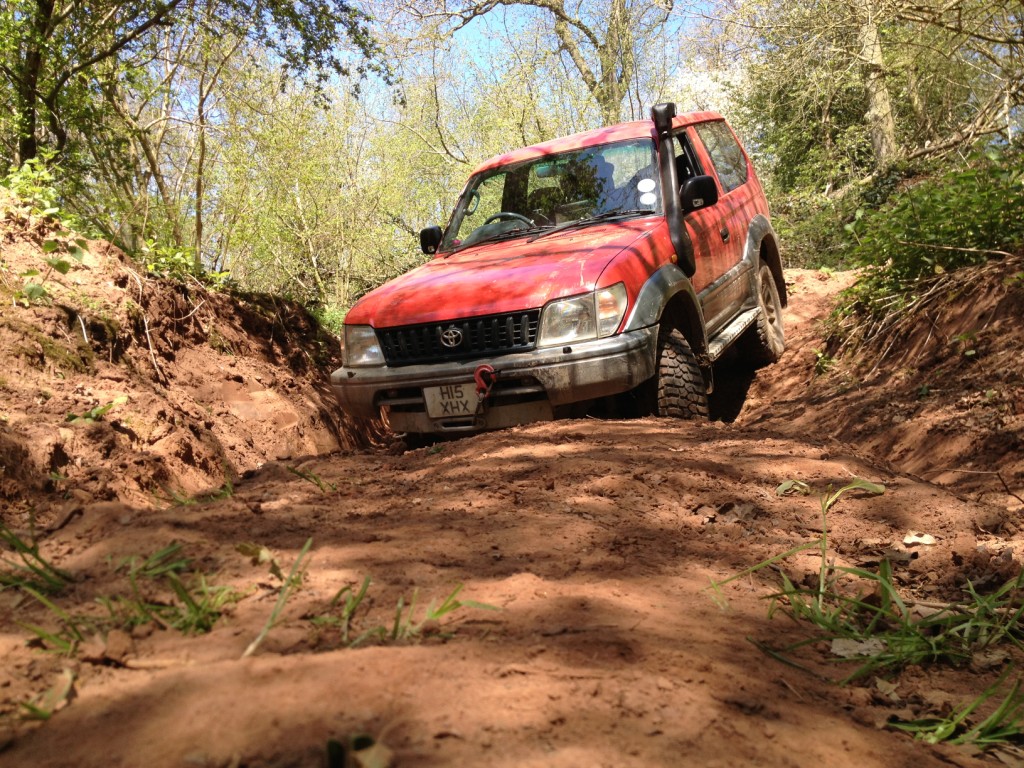 IMG_5282_zps65ab413f.jpg