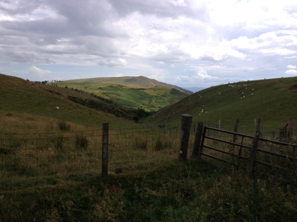 IMG_6102_zps6803e997.jpg
