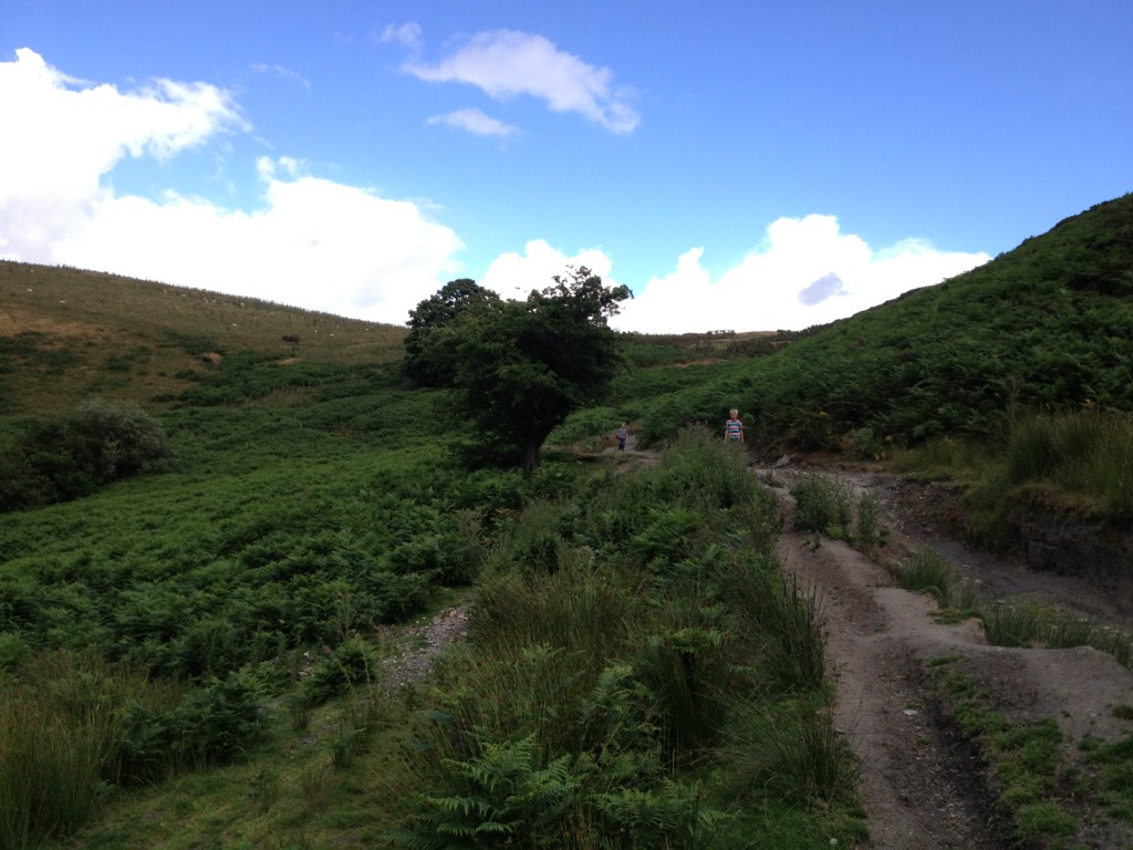IMG_6122_zps69cd2be0.jpg