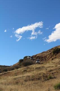 IMG_6570.jpg