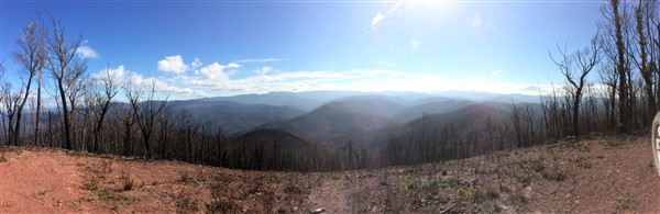 IMG_6586.jpg
