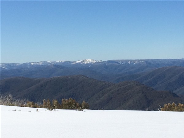IMG_6954.jpg
