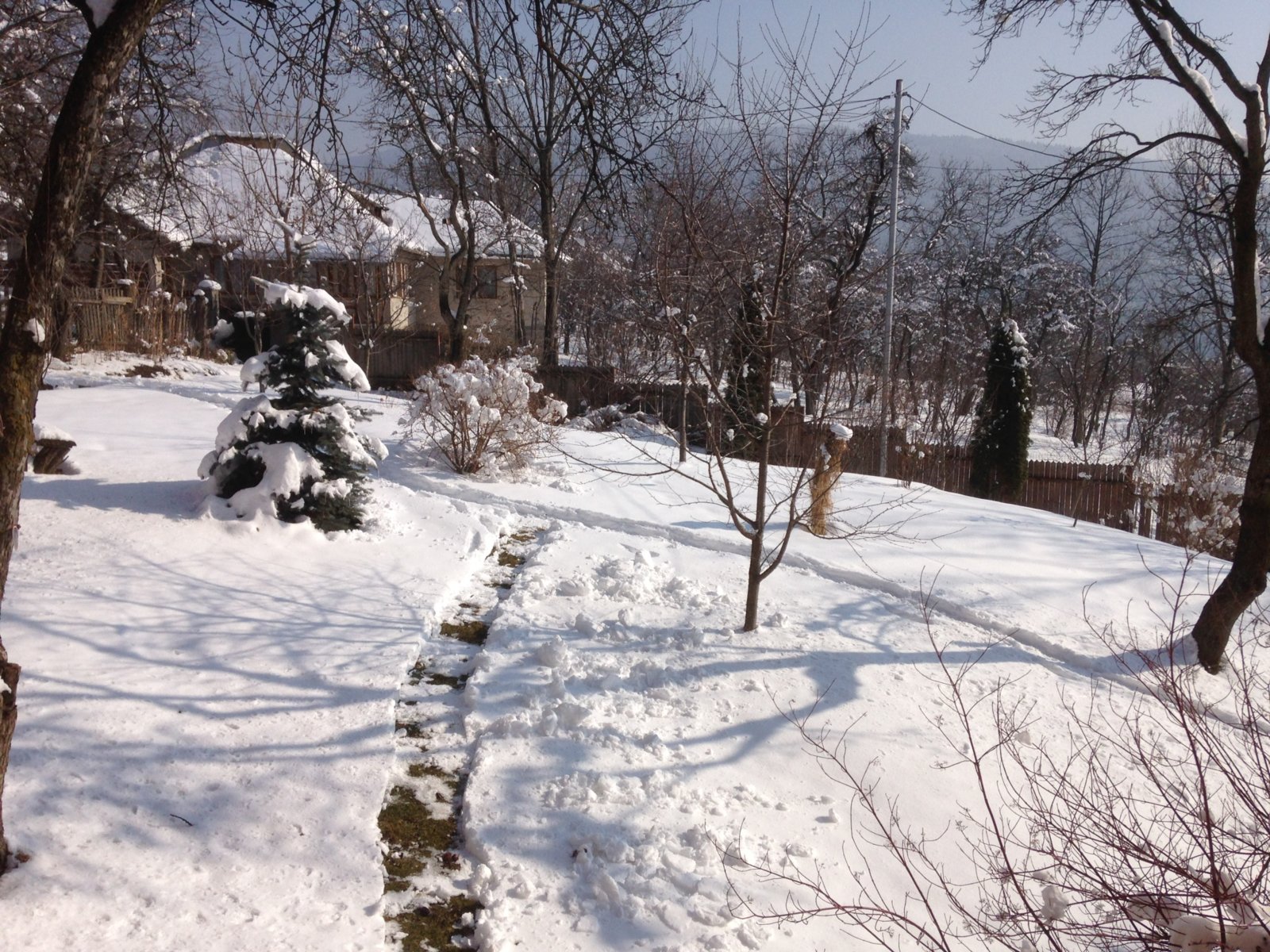 IMG_9190.JPG