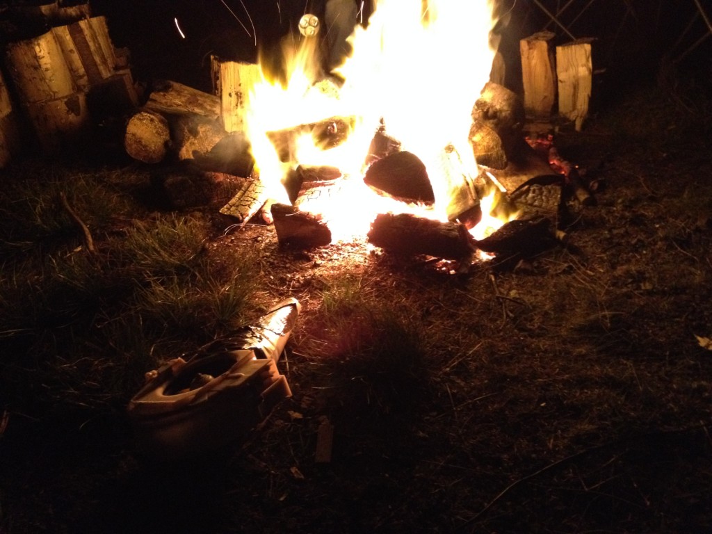 IMG_9748_zps398b923d.jpg