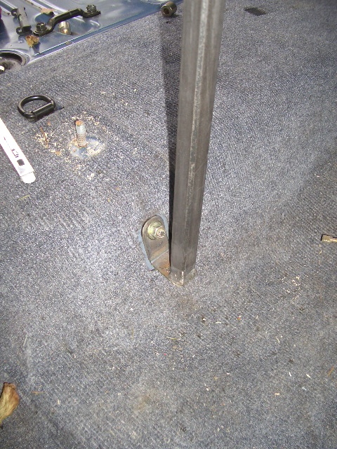 IMGP3493.JPG