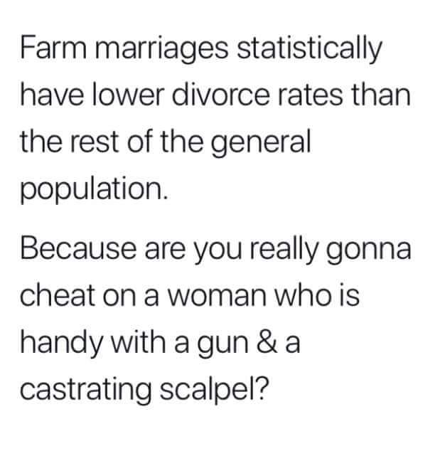index.jpg