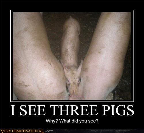 Isee3pigs.jpg