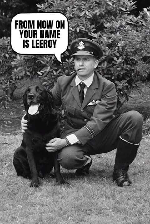 Leroy.jpg