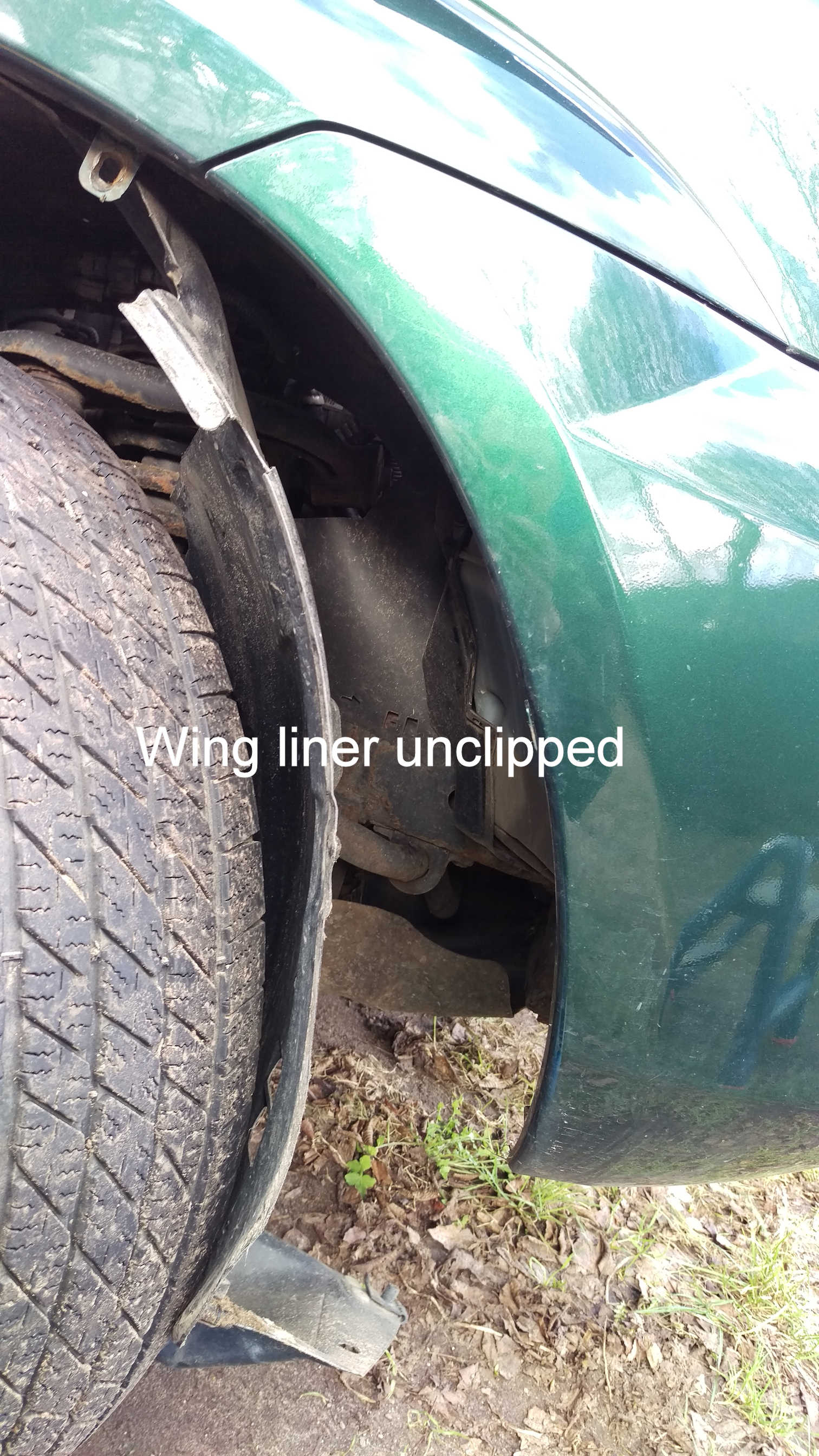 Liner unclipped.jpg