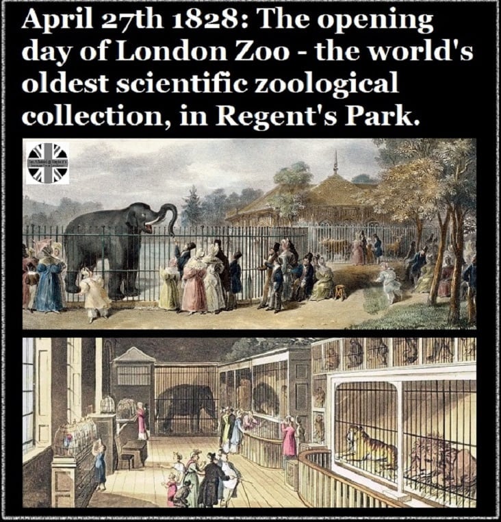 London Zoo.jpg