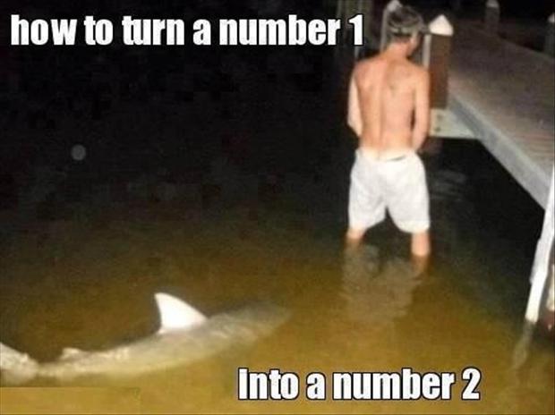 man-peeing-in-water-shark-swimming-funny-captions.jpg