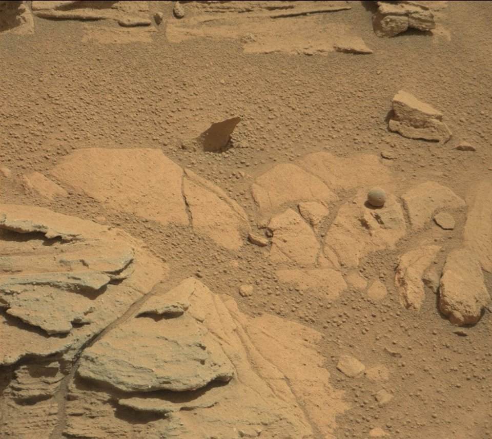 Martian sand shark.jpg