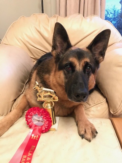 Max at Show (10) - 20170916.JPG