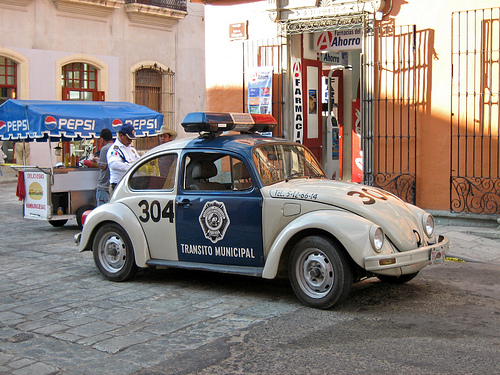 mexican-police-beetle-olivier.brisson421-l.jpg