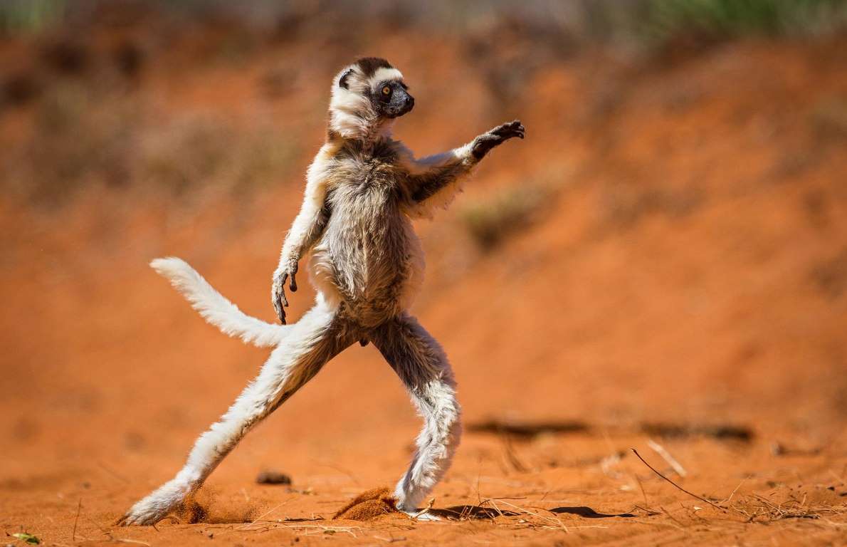 Morning yoga.jpg