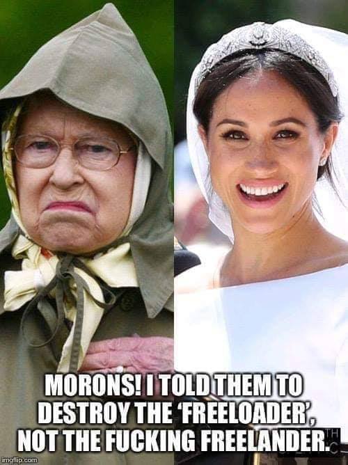 moron.jpg