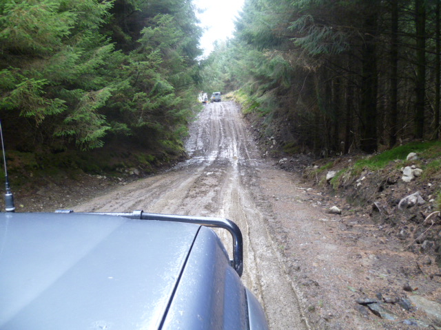 Muddy tracks.JPG