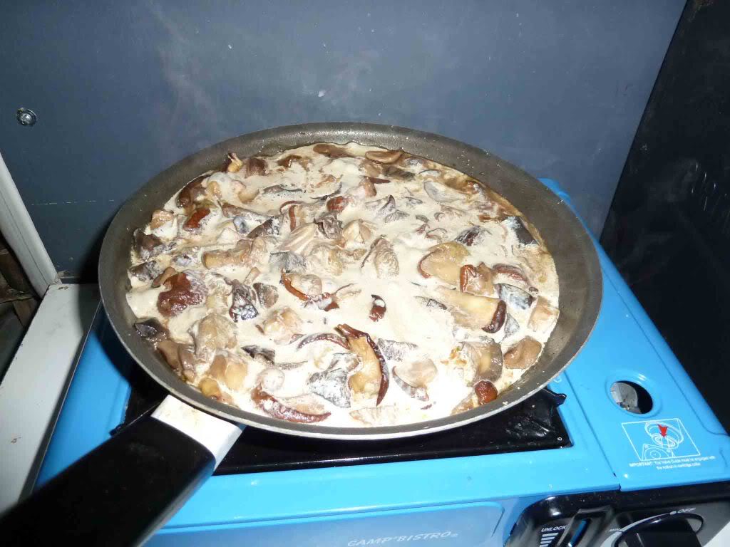 Mushroom2.jpg