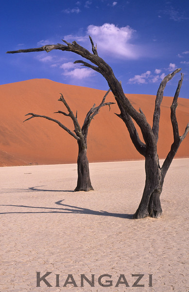Namibia-12-L.jpg