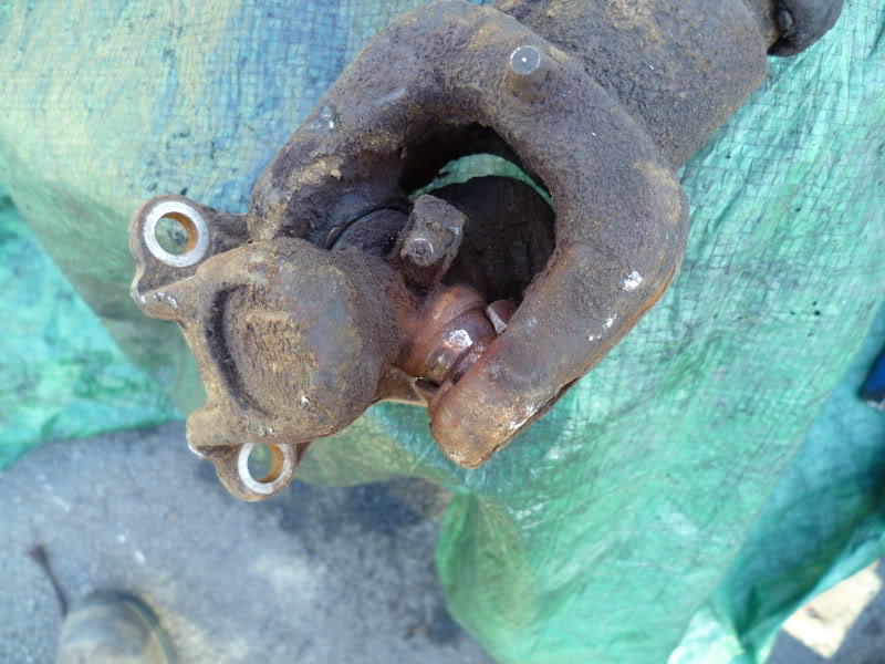 P1000320.jpg