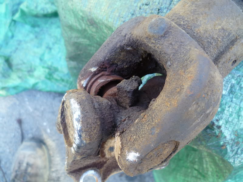 P1000321.jpg
