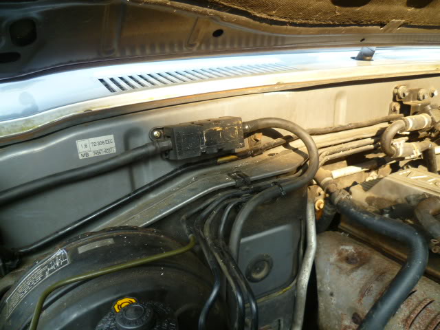 P1000359-1.jpg