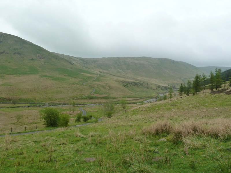 P1000476.jpg