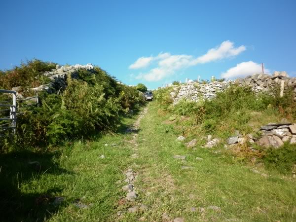 P1000763.jpg