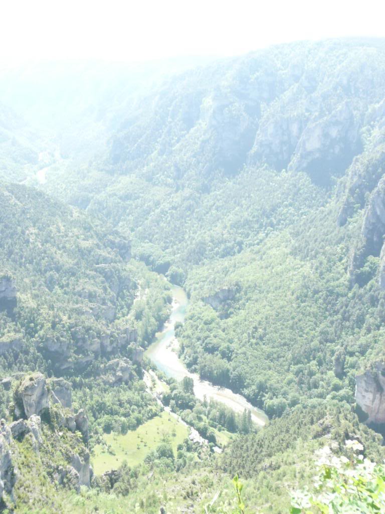 P1000900.jpg