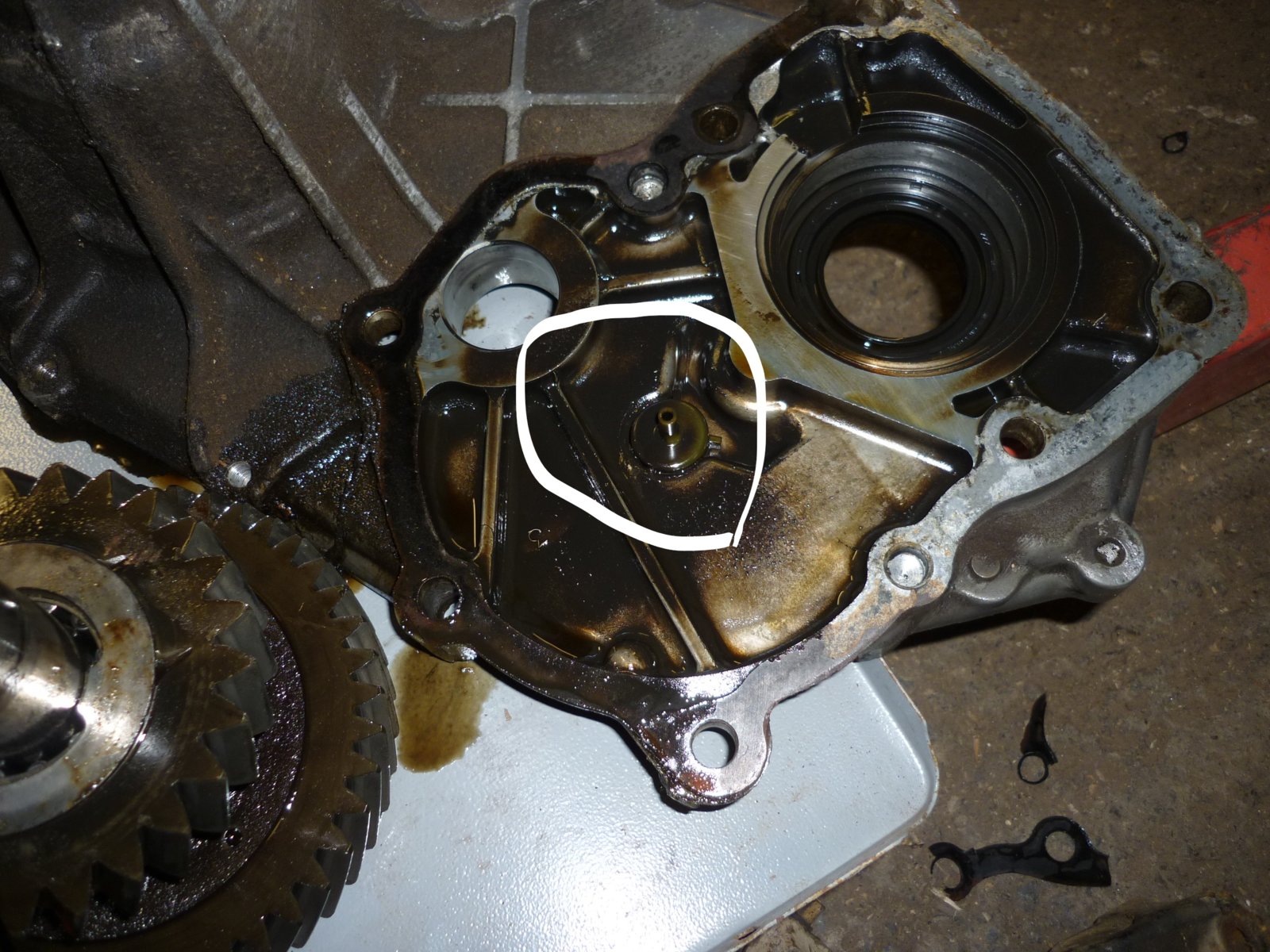 P1010495_LI.jpg
