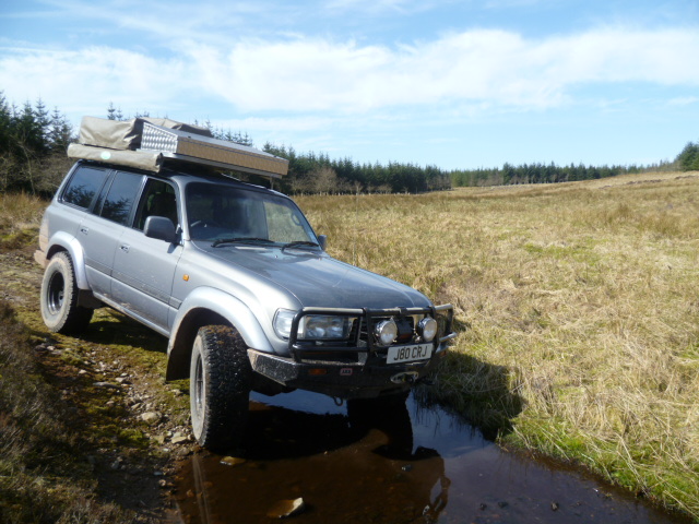 P1010503.JPG