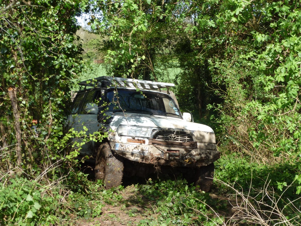 P1010590.JPG